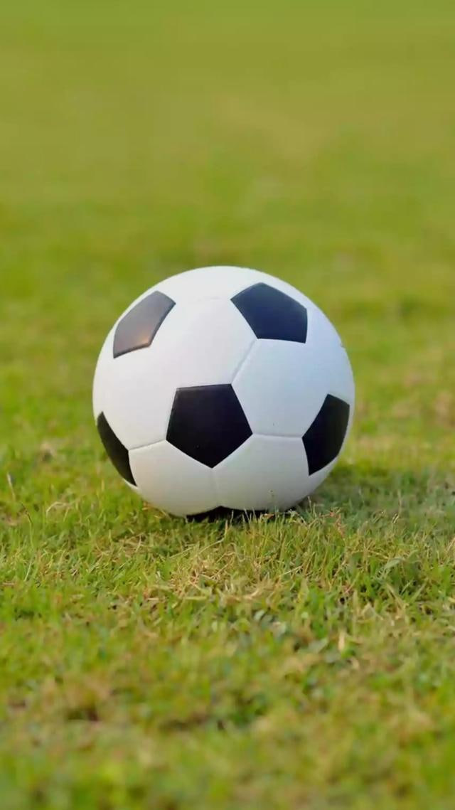 球探比分手机版界面展示